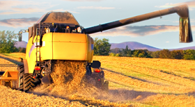 河南仙力面業(yè)有限公司